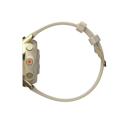 Polar Grit X Pro pezsgő/arany