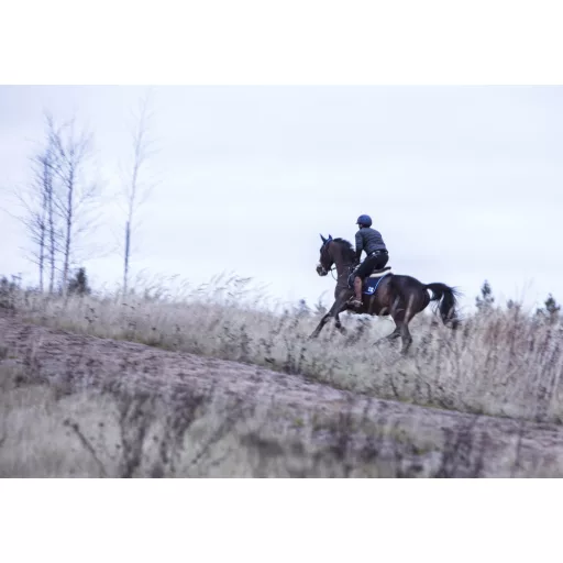 Polar Equine lovagló öv
